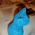 IMG_20220109_210022.jpg Cat voronoi