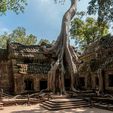 angkor-siemreap-cambodia-tha-prom-temple-01.jpg Temple Ruins - Cambodia