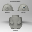 versions-mini.png Caja erizo