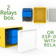 234.jpg 2 relays box or ESP-01 with relay