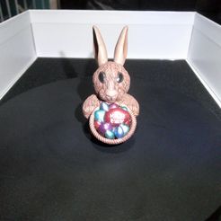DSCF0015.jpg STL file Easter Bunny with Easter eggs in a basket・3D printing template to download