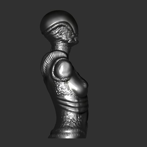 ZBrush-Document2.jpg Giger Weibliche Büste
