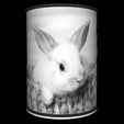 Vue-on_1.png STL file Rabbit Lamp・3D print design to download
