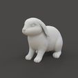 Rabbit_2.1.jpg Rabbit