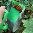 F64CCD15-8D16-4EE2-8802-3CFBD0F8990A.jpeg Berry picker, berry comb, berry harvester, handheld berry harvester, garden tools, garden hack, blueberry picker, 3D print berry picker, garden harvester