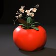 5.jpg tomato planter