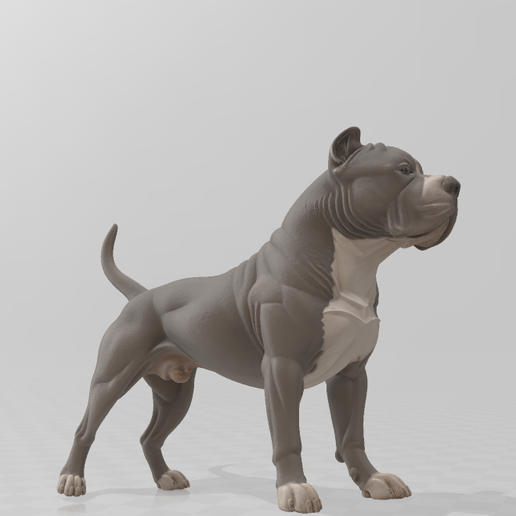 💪 Set of 14 Mighty Breed Dogs - 1/64th Scale 💪 3D model