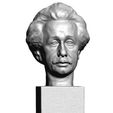 info.jpg Albert Einstein Bust 3D Scan