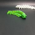 20220307_185648.jpg Caterpillar (Flexi print-in-place)