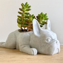 F8C2EEF1-610F-4EE6-B8A3-282DB0A5DCEC.jpeg Fichier 3D gratuit JARDINIÈRE BULLDOG FRANÇAIS PARESSEUX・Plan imprimable en 3D à télécharger