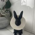 B5E580DF-B7DC-4545-855B-DDF218900E00_1_105_c.jpeg toilet paper holder "Floppy" Easter bunny bathroom, toilet paper holder WC, guest WC, spare roll holder, decoration, birthday present, Easter