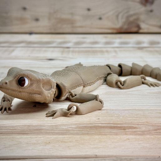 IMG_0603.jpeg Bebé Beardie (dragón barbudo)