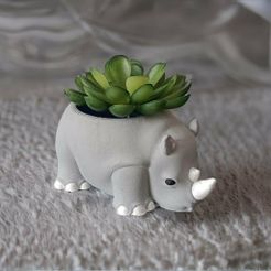 pebblely-4.jpg Rhinocéros en pot