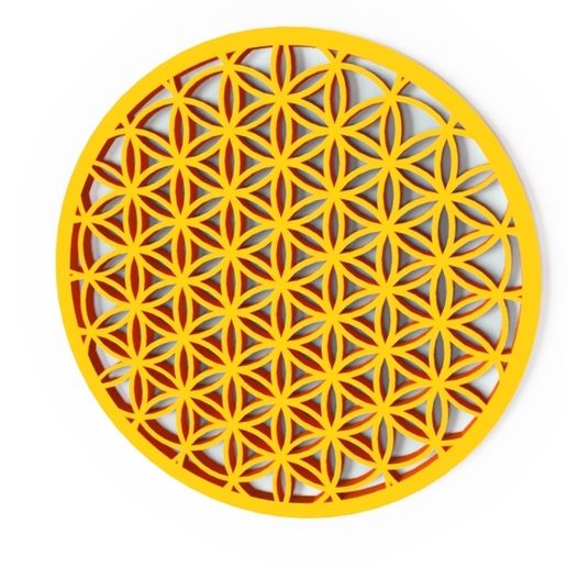 Download STL file Flower of Life • 3D printing template ・ Cults