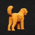 2445-Bouvier_des_Flandres_Pose_03.jpg Bouvier des Flandres Dog 3D Print Model Pose 03