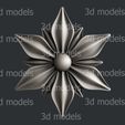 P529fa.jpg Flowers P529