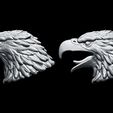 1-2.jpg Eagle Head