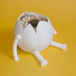 IMG_9451.jpg STL-Datei EggPlant - PLANTER・3D-Druck-Idee zum Herunterladen