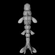koy-fish4.jpg Articulated Koi Fish