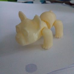 Clumsy French Bulldog