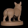 13.jpg Corgi