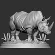 4.jpg Rinoceronte