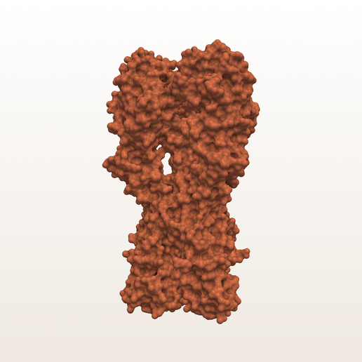 1918 Flu Hemagglutinin Protein (PDB 1RUZ) - 3D Molecular Surface Model