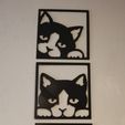 5015a221-aa79-474e-bd3d-be336a8f3afe.jpg WALL CATS