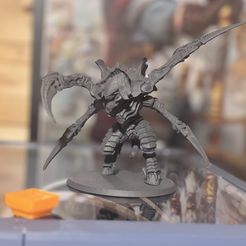 СВОБОДНОЕ ПРОСТРАНСТВО CHONKY BUG