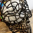 IMG_7423.jpeg Ropes Skull