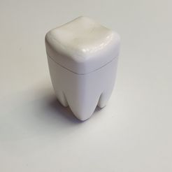 pic02.jpg OBJ-Datei Zahndose kostenlos・Design für 3D-Drucker zum herunterladen, einstein_de