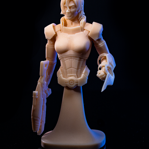 IMG_1554.png Bust of FemShepard
