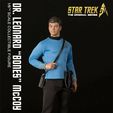 47a290c1-134b-402b-bc11-cd1e305ef92c.jpg Leonard "Bones" McCoy doll 1/6th by TerranDoll