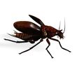 0000000JK.jpg COCKROACH - DOWNLOAD Cockroach 3d model - Animated for Blender-fbx-unity-maya-unreal-c4d-3ds max - 3D printing COCKROACH COCKROACHES COCKROACH