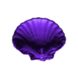 SHell with Hole FInal Cut.stl Clam Shell Soap Dish - Two versions