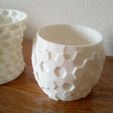maceta icosa 3.jpg VASO GEODESICO