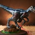 _DSC9795.jpg Jurassic world, Velociraptor, dinosaur with a watchful pose