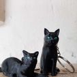 WhatsApp-Image-2023-01-26-at-19.47.39.jpeg (x2) Cat keychains