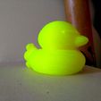 IMG_20210811_115226s.jpg Ahiru Duck (rubber duck)