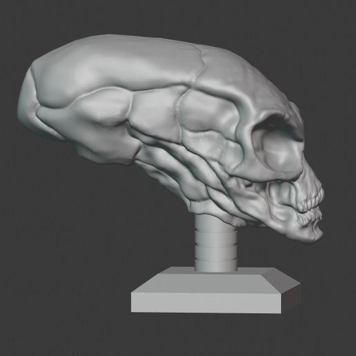 Download STL file Crystal Skull • 3D printing model ・ Cults