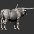 Texas-Longhorn11.jpg Texas Longhorn 3D print model