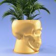 skull2_PerfectlyClear.jpg SKULL FLOWER POT-NO SUPPORTS