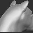 7.jpg Lioness head for 3D printing