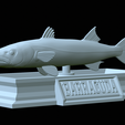 Barracuda-base-20.png fish great barracuda / Sphyraena barracuda statue detailed texture for 3d printing
