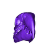 NEW-Skull-repaired-repaired-repaired.stl STL file Macow Skeleton・Model to download and 3D print