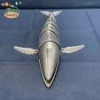 78339f9d-5cbf-48de-9511-192d4c09d0e2.jpg Flexi Humpback Whale - New Type(print-in-place)