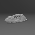 pic-4.png dinosaur skull