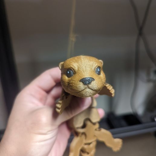 PXL_20221002_002948729.jpg Lontra bebé Flexi