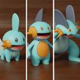 mudkip-pack.jpg pokemon mudkip evolution pack