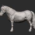 pony10.jpg Modelo de impresión 3D de poni